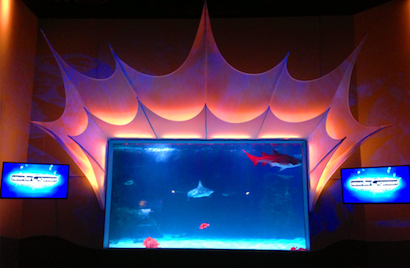 The revamped Newport Aquarium