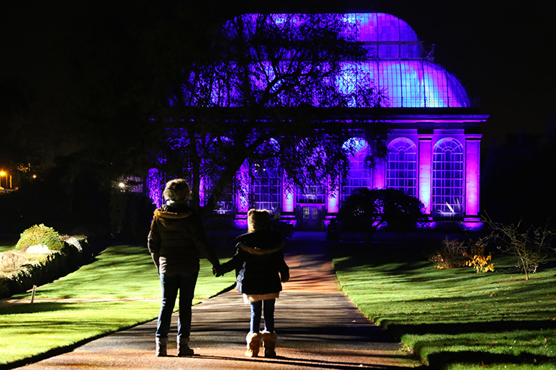 Black Light Supports Night in the Garden at Royal Botanic Gardens in Edinburgh, Scotland