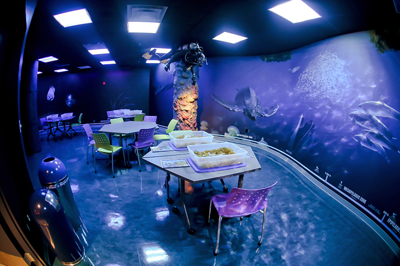 Video, audio, and control equipment and integration for the Carol J. and Barney Barnett Learning Center - The Florida Aquarium, Tampa