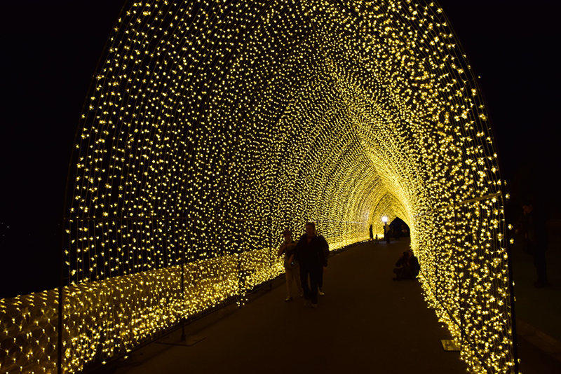 'Cathedral of Light' was static, yet compelling. Photos courtesy Mandylights.