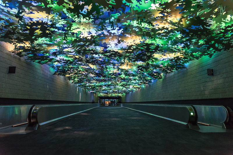 Alcorn McBride helps birds fly inside the ATL airport