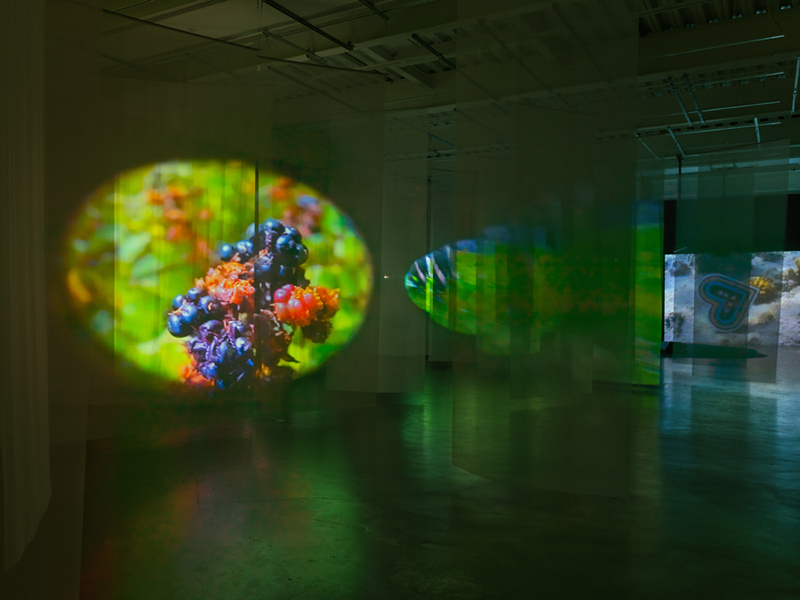 Pipilotti Rist’s 'Pixel Forest' at The New Museum Gets WorldStage AV Assist