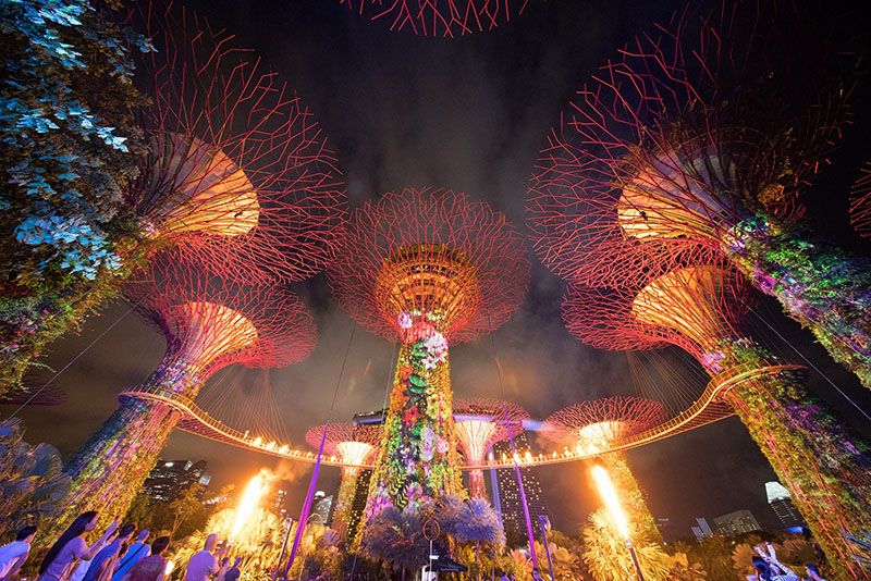 Christie Roadster HD20K-J 3DLP projectors were used. Photo courtesy of Gardens By the Bay.